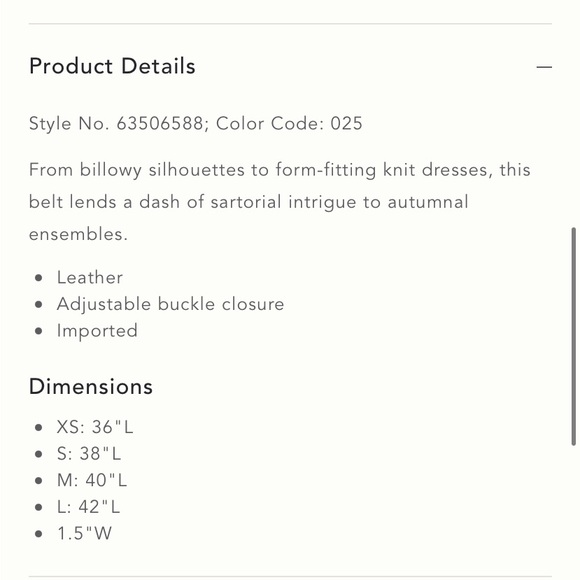 Anthropologie Square Buckle Belt - Picture 5 of 10